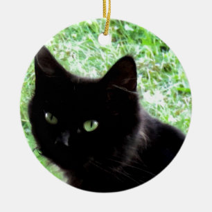 Halloween Black Cat Photo Design Ceramic Tree Decoration