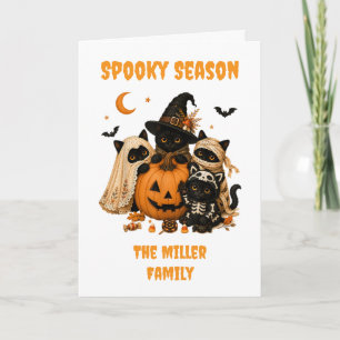 Halloween Black Cat Pumpkin Witch Holiday Card