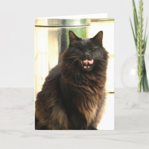 Halloween- Black Cat With One Eye Card