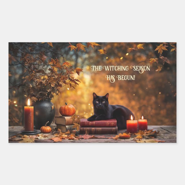 Halloween Black Cats Spell Books Mystical Rectangular Sticker (Front)