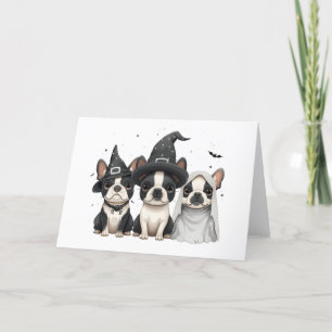 Halloween Boston Terrier Dogs Holiday Card
