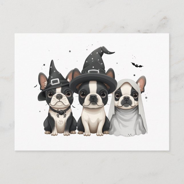 Halloween Boston Terrier Dogs Postcard (Front)