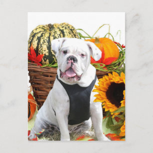Halloween bulldog postcard