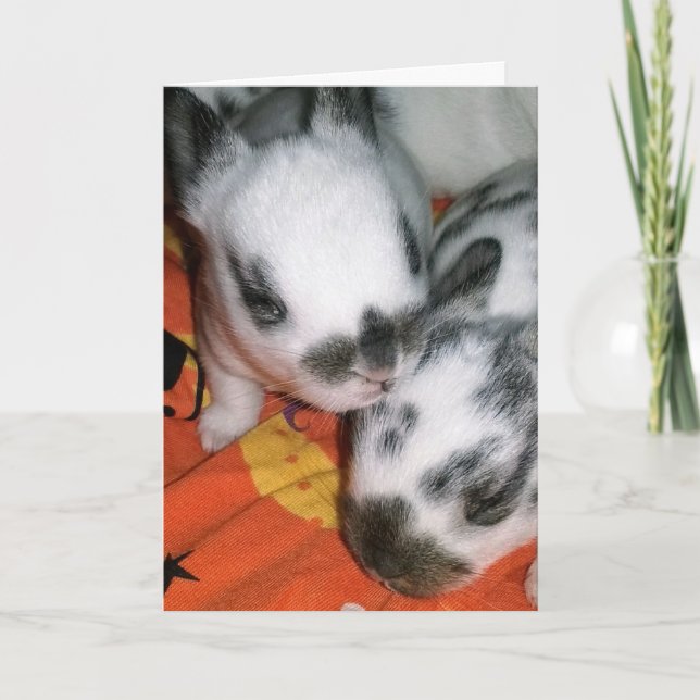 Halloween Bunnies Card (Front)