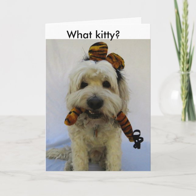 halloween card, humour, dog eats cat, guilty dog, holiday card (Front)
