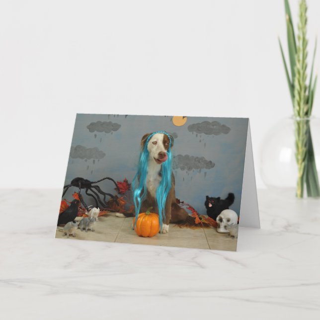 Halloween card using dogs dressed up in costumes (Front)