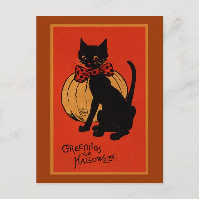 Halloween Cat and Pumpkin Postcard (Front)