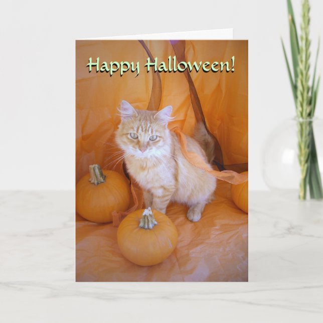 Halloween Cat Card (Front)