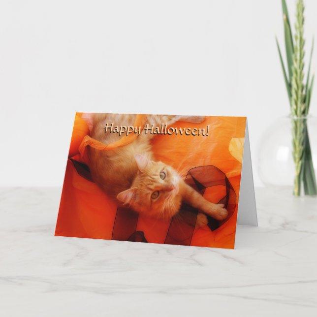 Halloween Cat Card (Front)