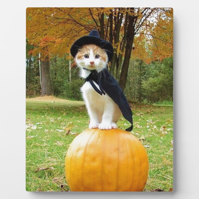 Halloween Cat On A Orange Pumpkin Plaque (Front)