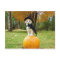Halloween Cat On A Orange Pumpkin