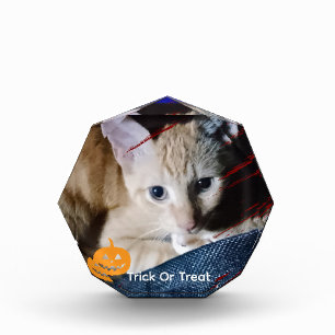 Halloween Cat Photo Text Customize Photo Block