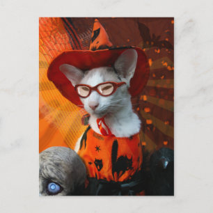 Halloween Cat Postcard