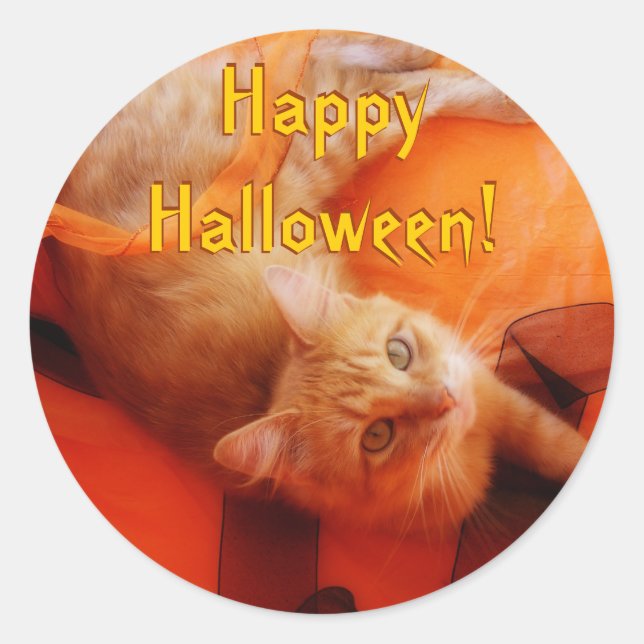 Halloween Cat Stickers (Front)
