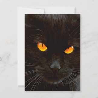 Halloween Cat's Face Card