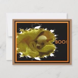 Halloween Chihuahua Flat Card