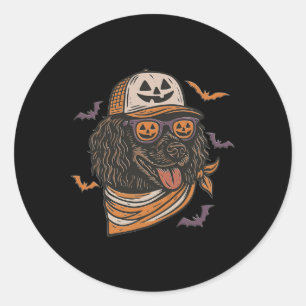 Halloween Cool Dog Boykin Spaniel Sungles Dog Mum Classic Round Sticker