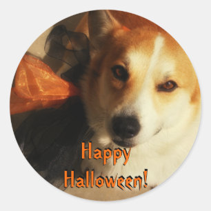 Halloween Corgi Stickers