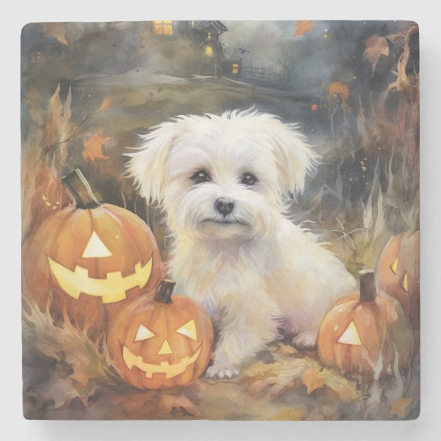 Halloween Coton De Tulear With Pumpkins Scary Stone Coaster (Front)