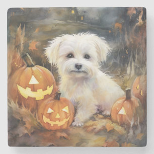 Halloween Coton De Tulear With Pumpkins Scary Stone Coaster