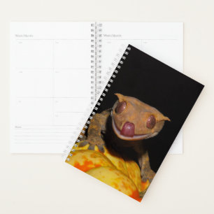 Halloween Crested Gecko Planner