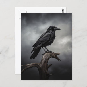 Halloween Crow Postcard