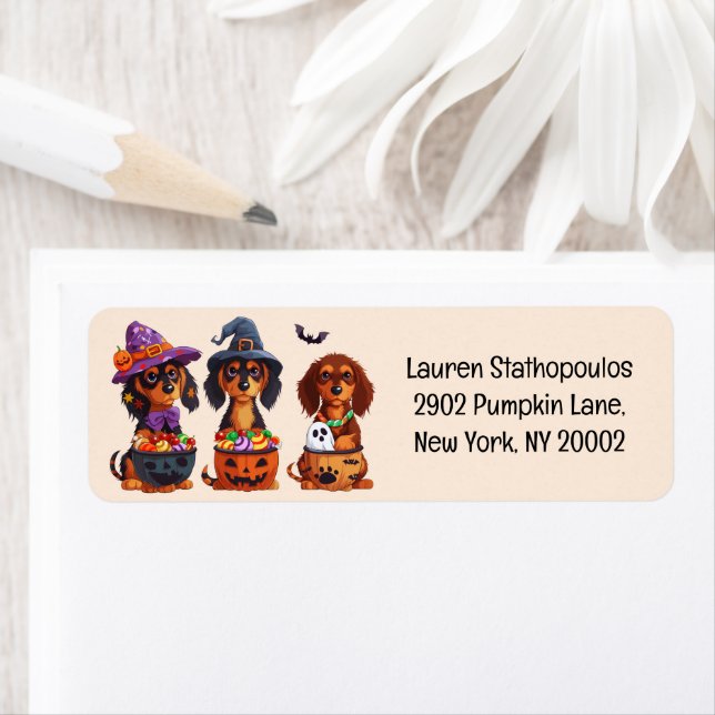 Halloween Dachshund Dogs Pumpkin Candy Bucket (Insitu)