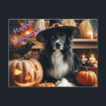 Halloween Dog and Jack O Lantern  Holiday Postcard<br><div class="desc">This Halloween postcard features a black and white farm collie dog with Jack O" Lantern and a crow.  There is a greeting that you many personalise or buy as shown with "Happy Halloween"  Anyone who likes dogs and Halloween will love this postcard.</div>