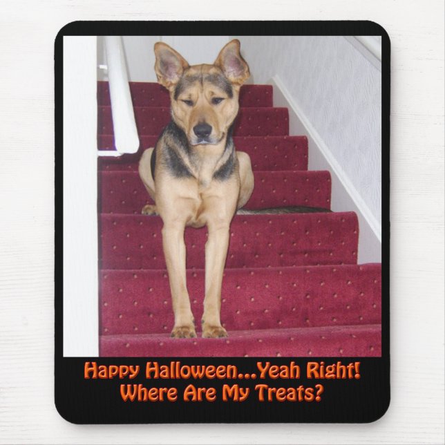 Halloween Dog and No Treats Mouse Pad (Front)