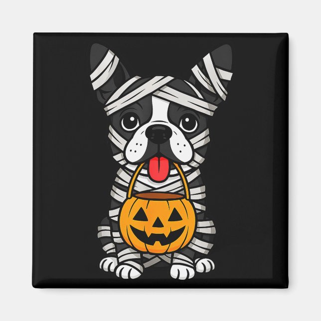 Halloween Dog Boston Terrier Mummy Costume Men Wom Magnet (Front)