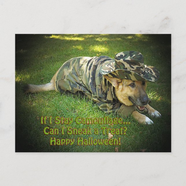 Halloween Dog in Camouflage Postcard (Front)