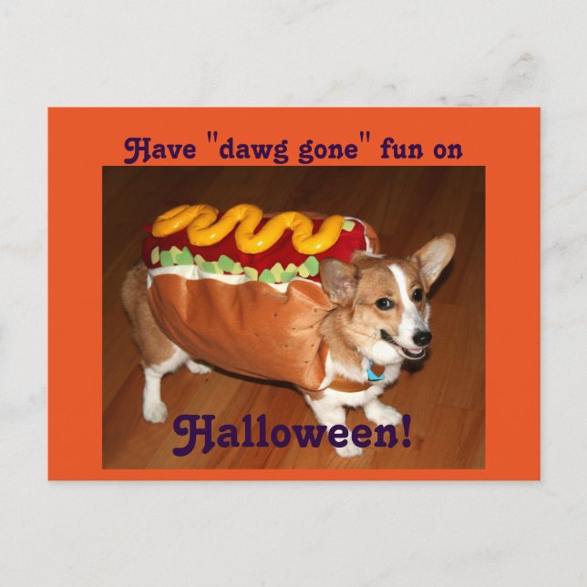 Halloween Dog Postcard (Front)