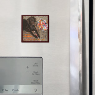 Halloween Dog with Sweet Tooth Magnet