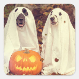 HALLOWEEN DOGS AS GHOSTS SQUARE STICKER
