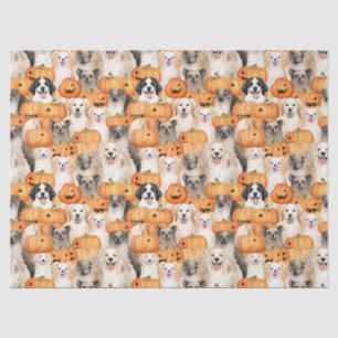 Halloween Dogs - Cute Dog Breeds with Pumpkin 2 Tissue Paper