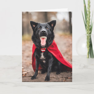 Halloween Dracula Dog Holiday Card