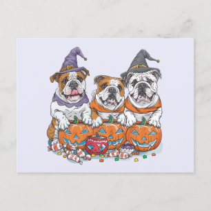 Halloween English Bulldogs Pumpkin Postcard