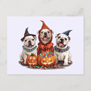 Halloween English Bulldogs Pumpkin Postcard