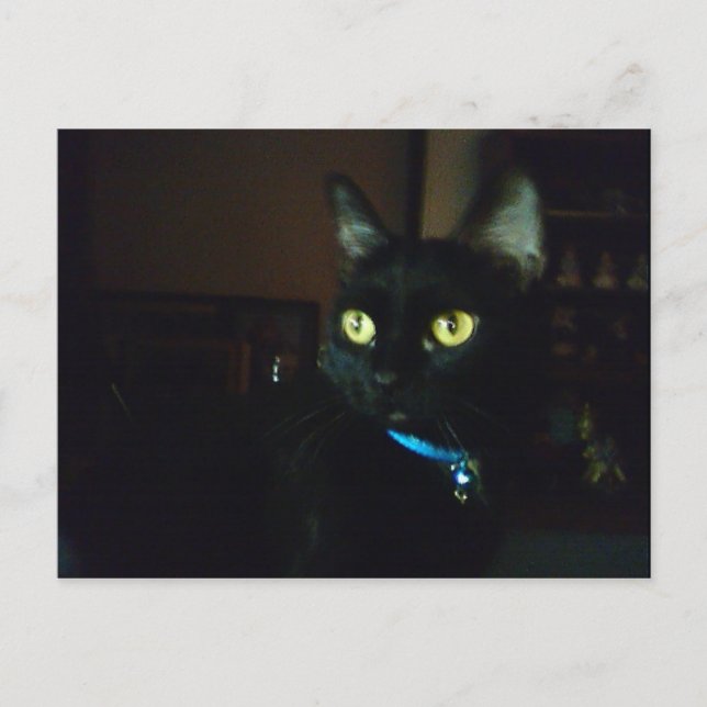 Halloween Eyes Postcard (Front)