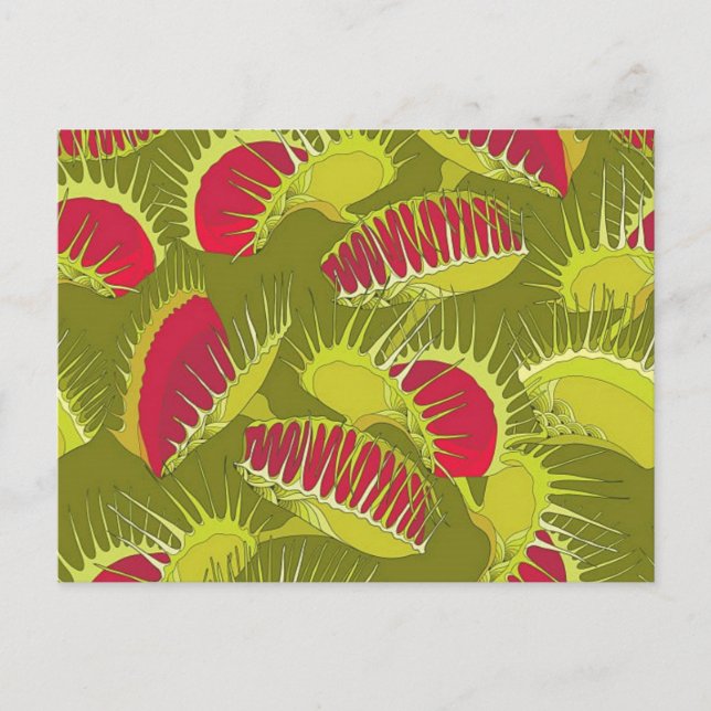 halloween fly trap postcard (Front)