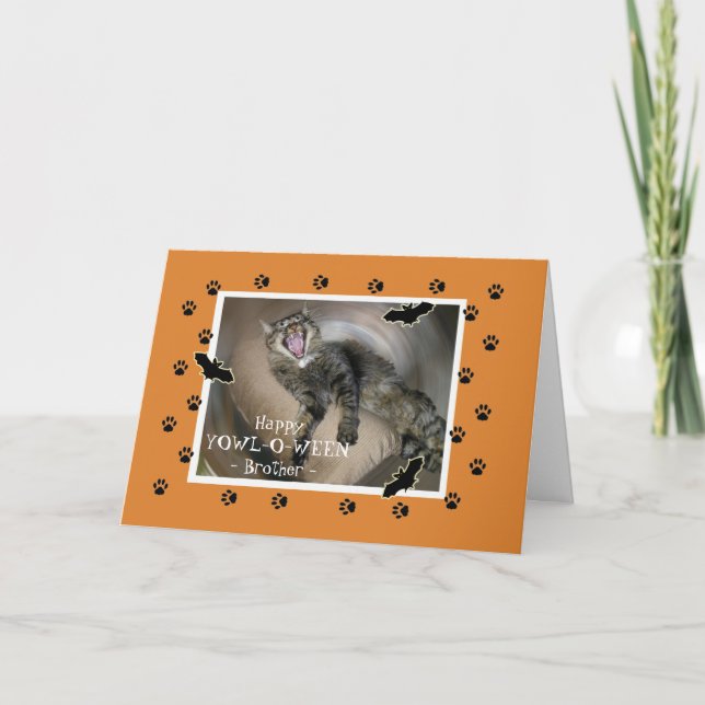 Halloween for Brother Scaredy Cat Bats Card (Front)