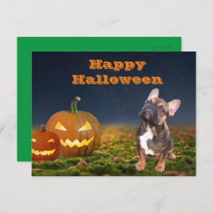 Halloween French Bulldogge postcard