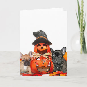Halloween French Bulldogs Card