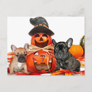 Halloween French Bulldogs Postcard