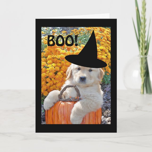 Halloween Funny Puppy Witch Greeting Card (Front)