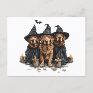 Halloween Golden Retriever Dogs Jack O Lantern Postcard