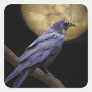 Halloween, Gothic Style Raven and Moon Square Sticker