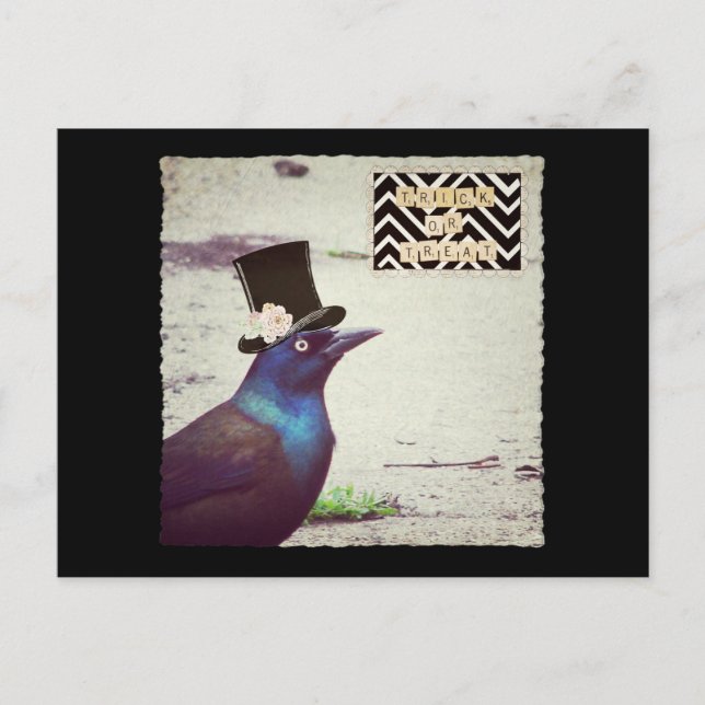 Halloween Grackle Postcard (Front)