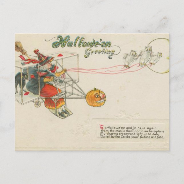 Halloween Greeting Aeroplane Witch Vintage Postcard (Front)