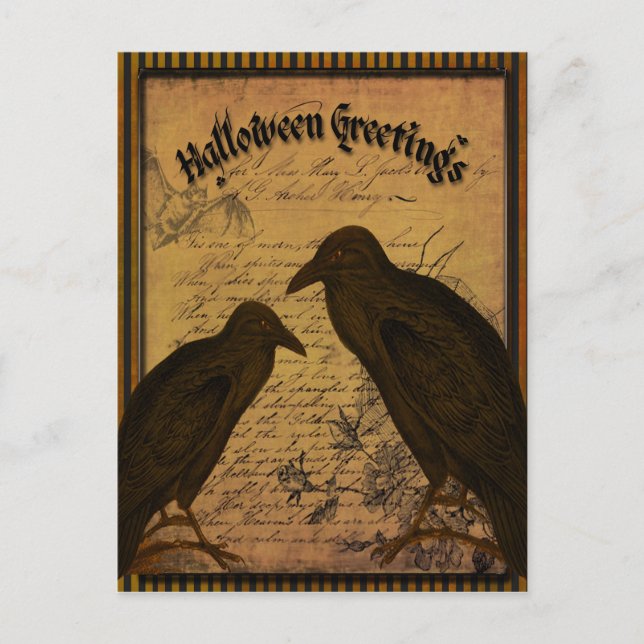 Halloween Greetings - Crows Postcard (Front)